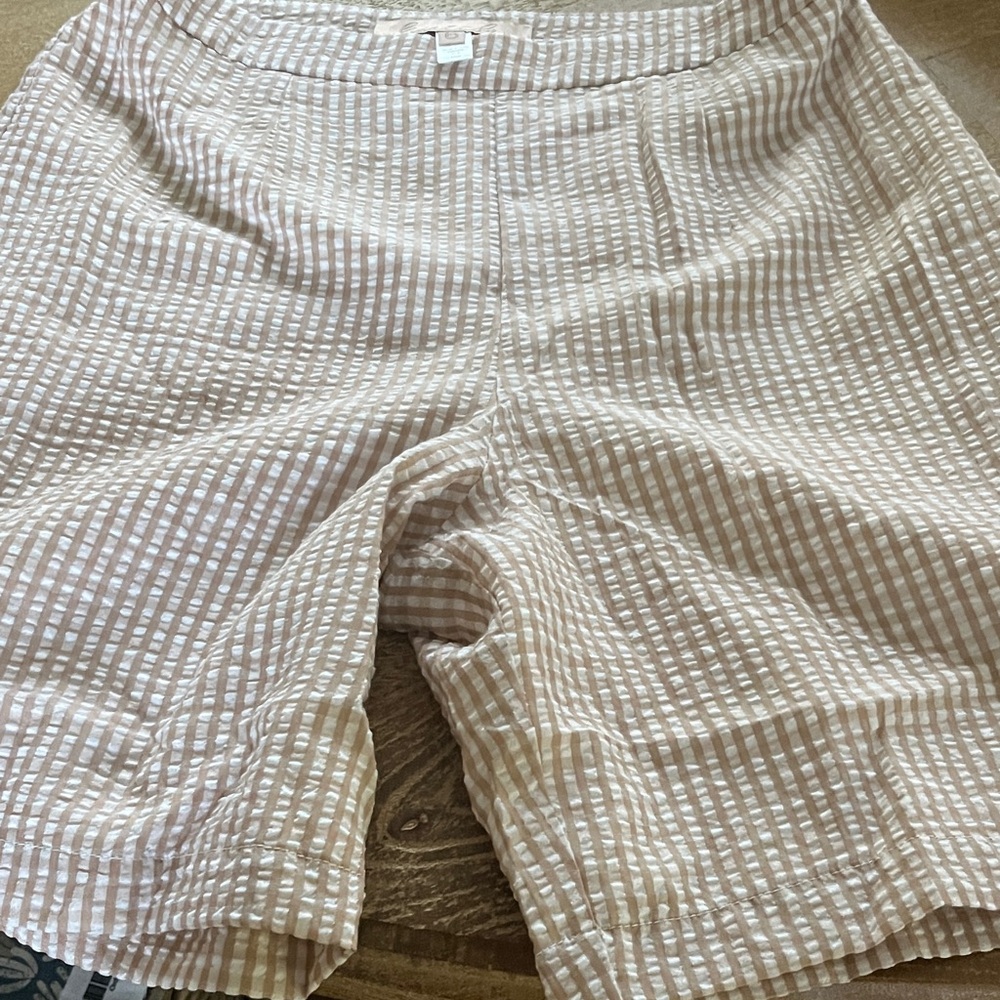 HUTCH..Women's Tan Striped Shorts